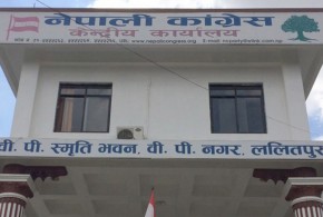 पौडेल पक्षको सानेपामा धर्ना